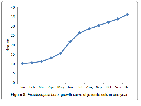 fisheries-livestock-production-growth