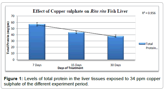 fisheries-livestock-production-levels-protein-liver