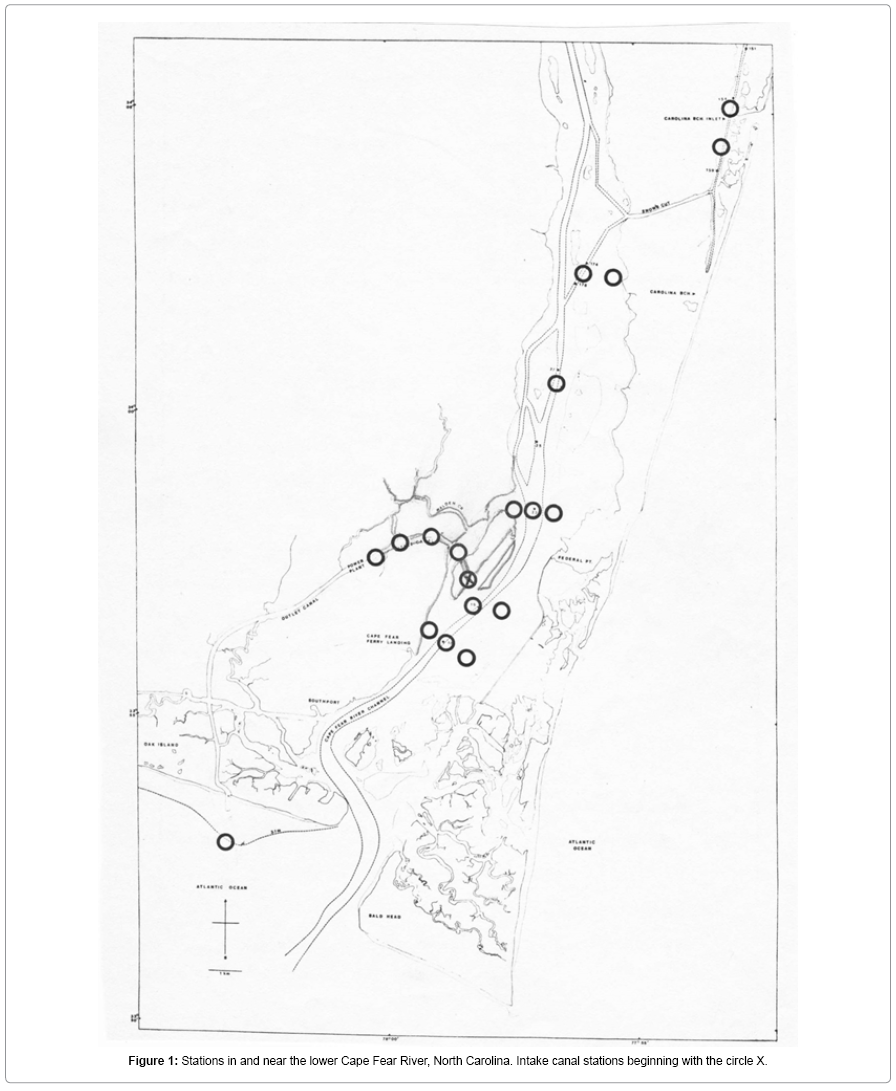 fisheries-livestock-production-lower-Cape-Fear-River