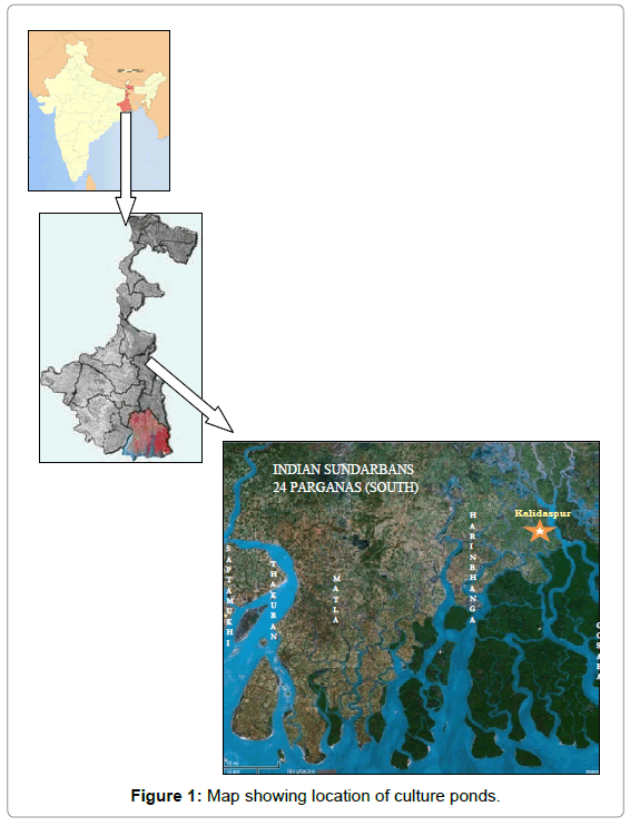 fisheries-livestock-production-map-showing-location