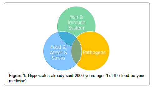 fisheries-livestock-production-medicine