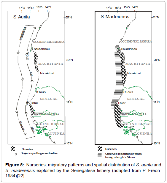 fisheries-livestock-production-migratory-spatial-distribution