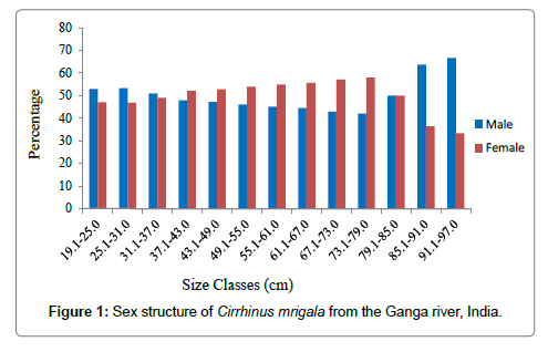 fisheries-livestock-production-mrigala
