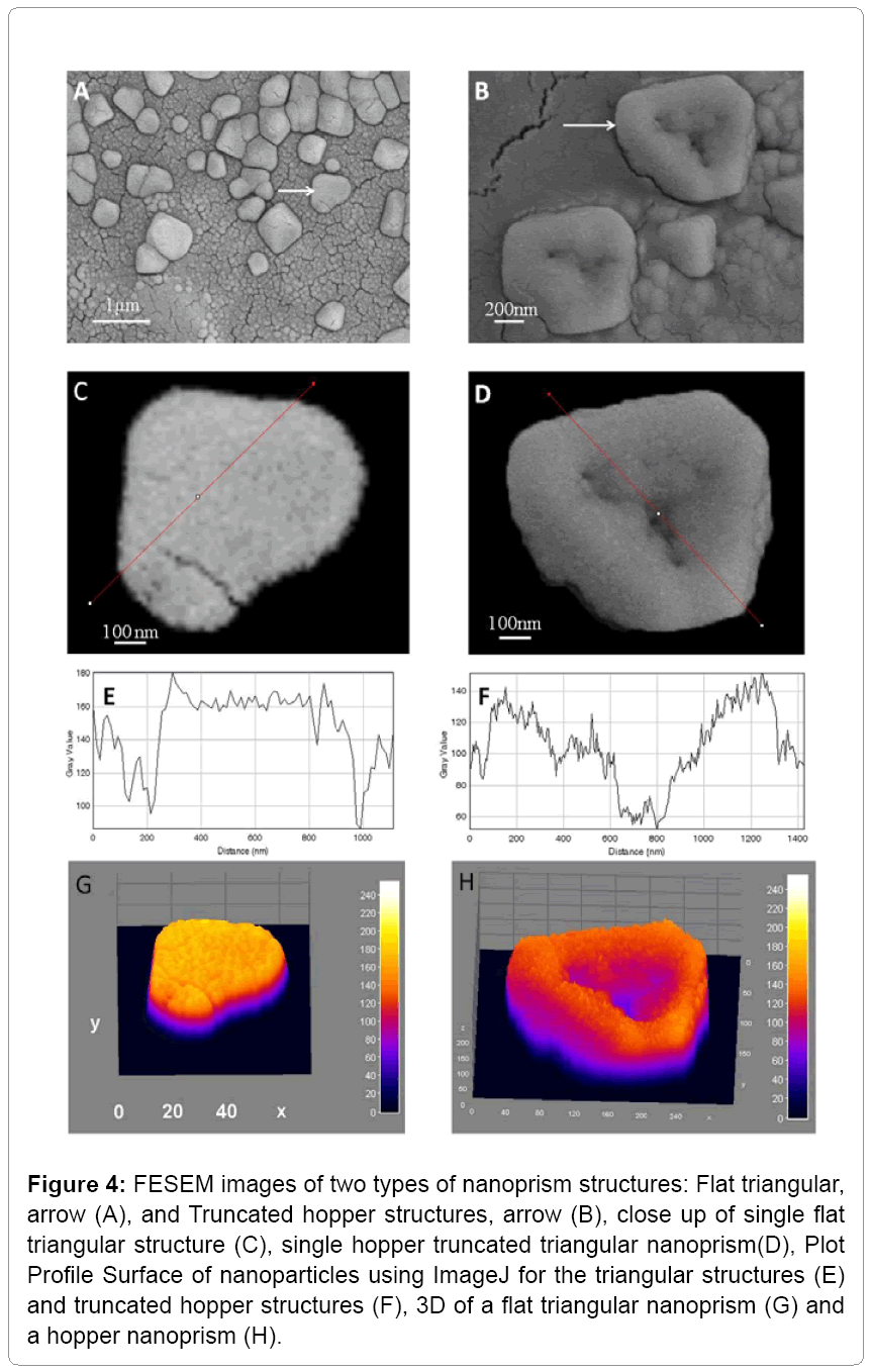 fisheries-livestock-production-nanoprism