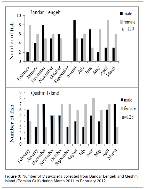 fisheries-livestock-production-number-collected-bandar