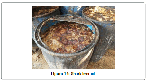 fisheries-livestock-production-oil