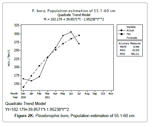 fisheries-livestock-production-pisodonophis