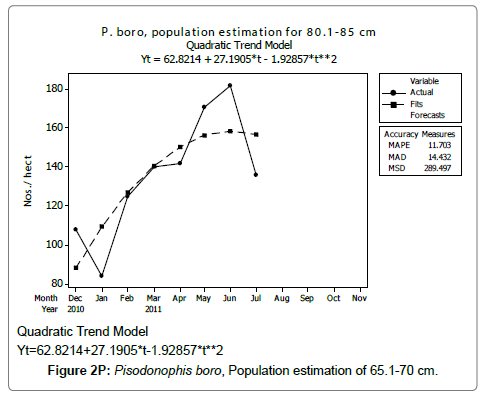 fisheries-livestock-production-pisodonophis