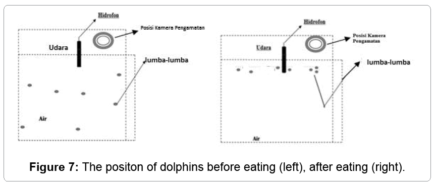 fisheries-livestock-production-positon