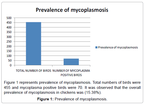 fisheries-livestock-production-prevalence-mycoplasmosis