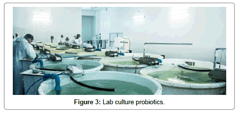 fisheries-livestock-production-probiotics