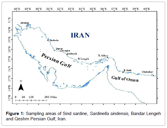fisheries-livestock-production-sampling-areas-Sind