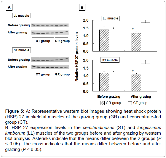 fisheries-livestock-production-skeletal-muscles-grazing