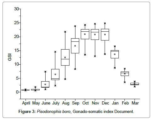 fisheries-livestock-production-somatic