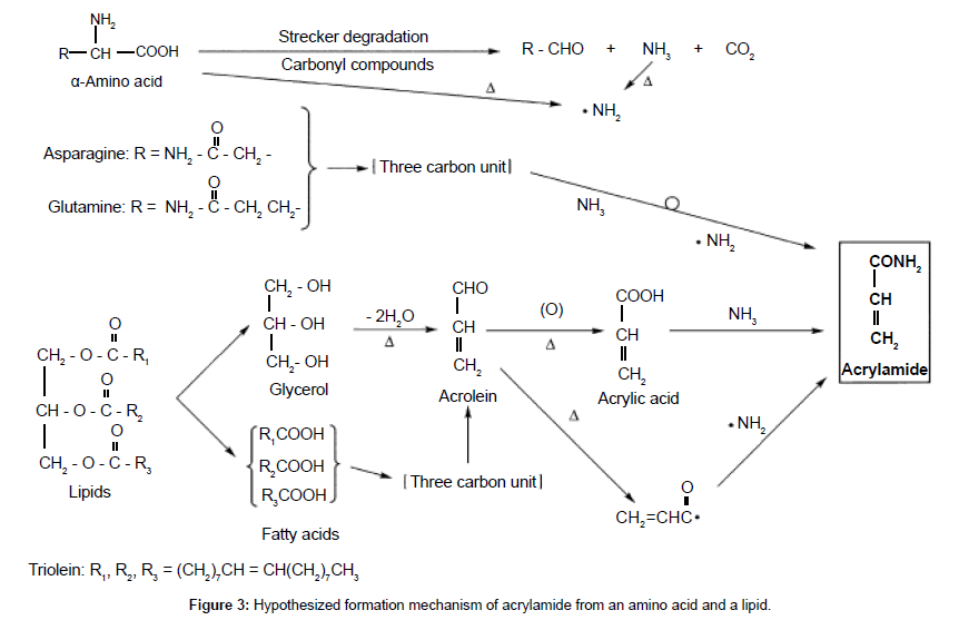 Food Processing Technology Hypothesized Formation Food Processing Technology Hypothesized Formation