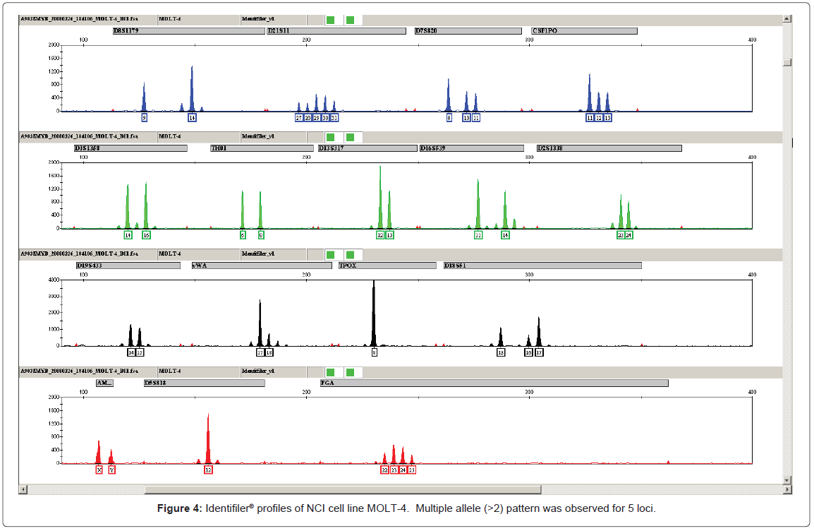 STR Profiling of Human Cell Lines Challenges and Possible Solutions to