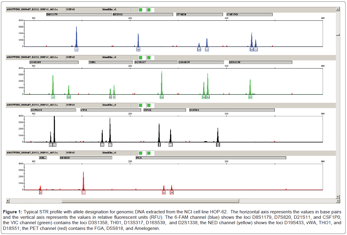 forensicresearchSTRprofile