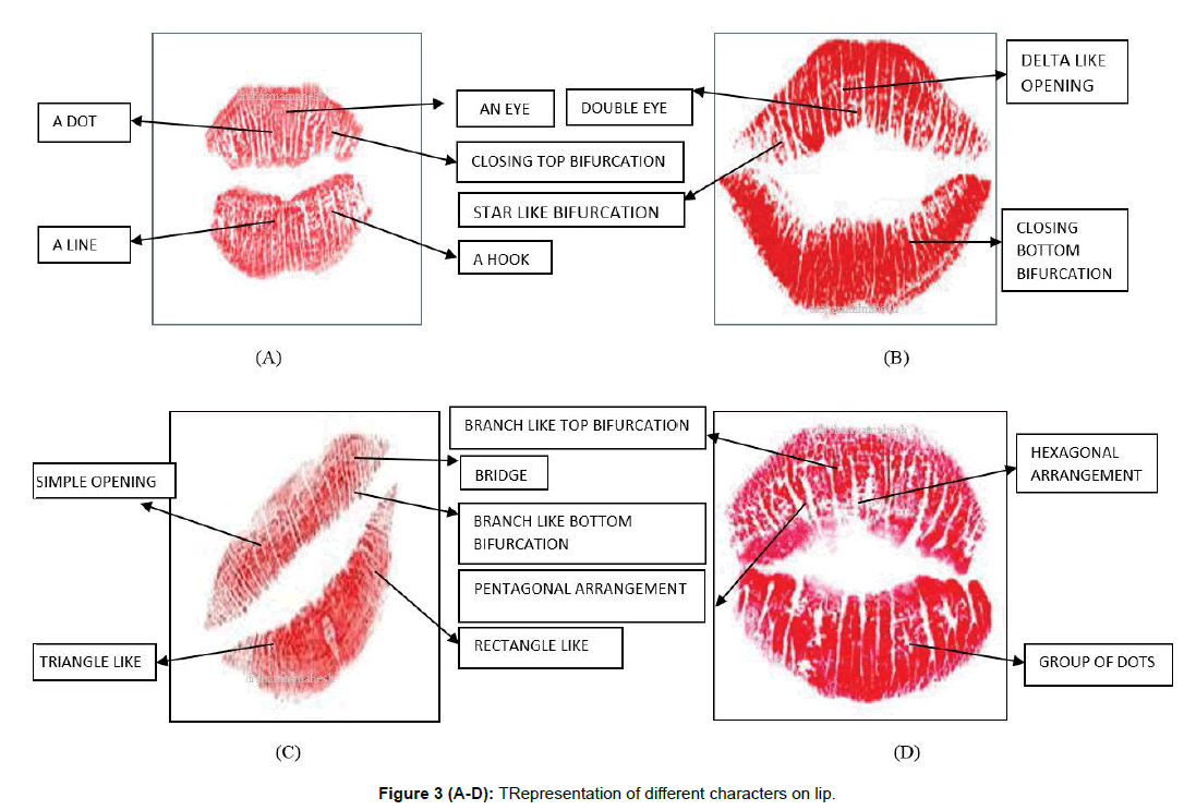 forensicresearchdifferentcharacterslip
