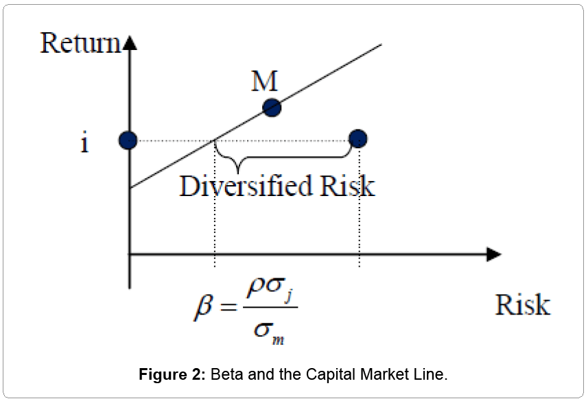 capital market line