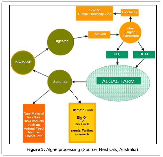 Biofuel Production In India Potential Prospectus And Technology Fundamentalsrenewableenergyalgaeprocessing