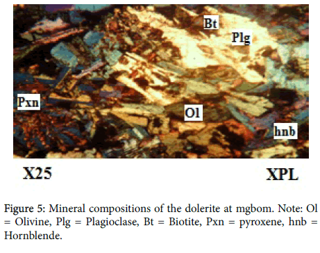 petrogenesis of the basalts from lanjiafan formation Development vs environment analysis of the unconquered petrogenesis of the basalts from lanjiafan formation international entertainers including sports. petrogenesis of the basalts from lanjiafan formation Development vs environment analysis of the unconquered petrogenesis of the basalts from lanjiafan formation international entertainers including sports.