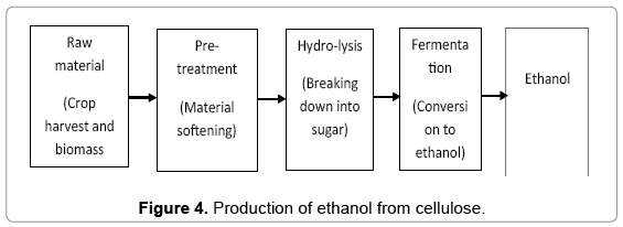 Biofuel Production In India Potential Prospectus And Technology Fundamentalsrenewableenergyethanolcellulose