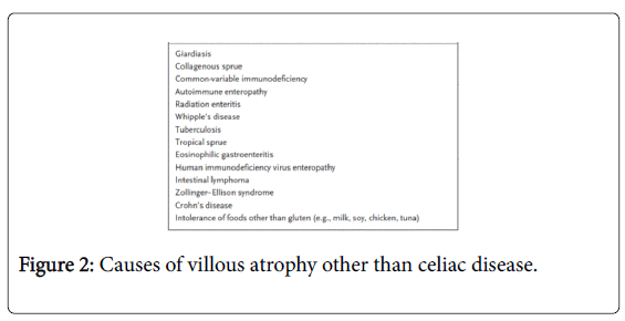 gastrointestinal-digestive-Causes-villous-atrophy