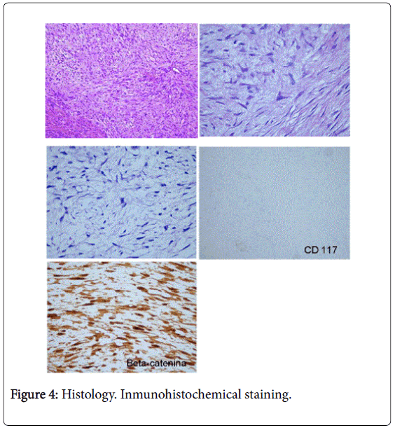 gastrointestinal-digestive-Inmunohistochemical-staining