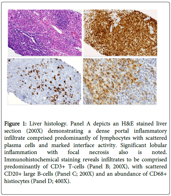 gastrointestinal-digestive-Liver-histology-Panel