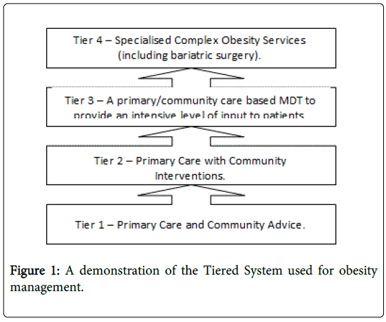 gastrointestinal-digestive-Tiered-System