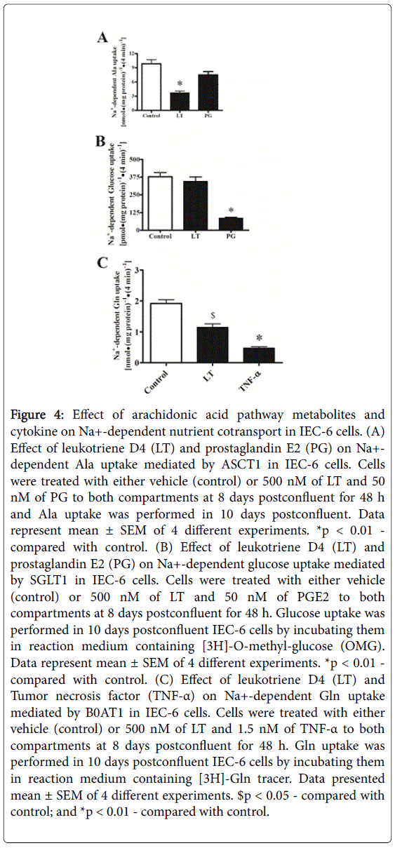 gastrointestinal-digestive-arachidonic-acid-pathway