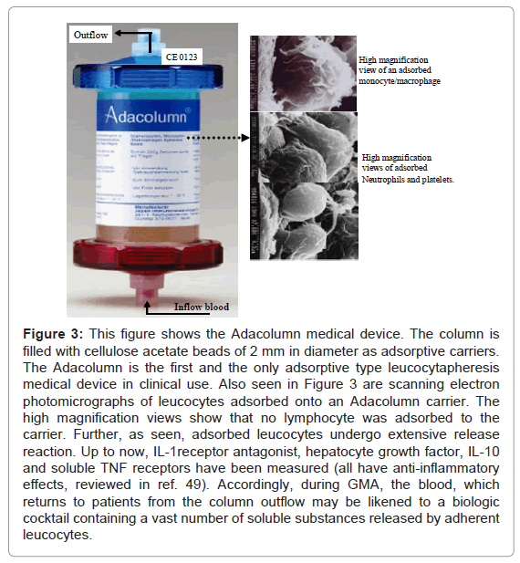 gastrointestinal-digestive-diameter-adsorptive-carriers