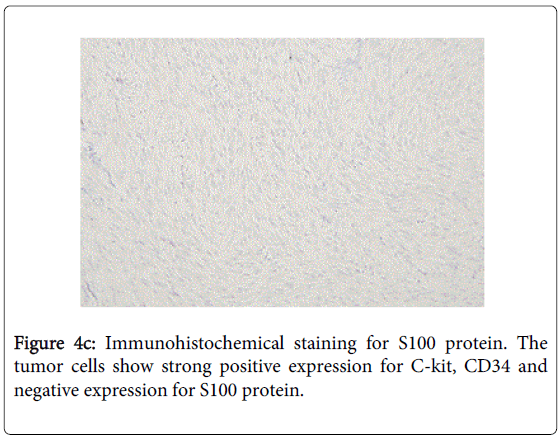 gastrointestinal-digestive-expression-S100-protein