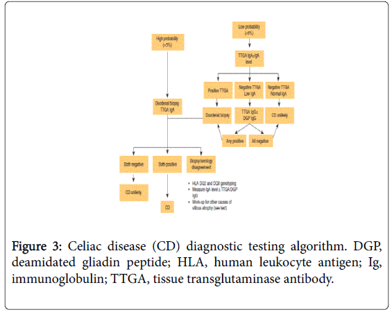 gastrointestinal-digestive-human-leukocyte-antigen