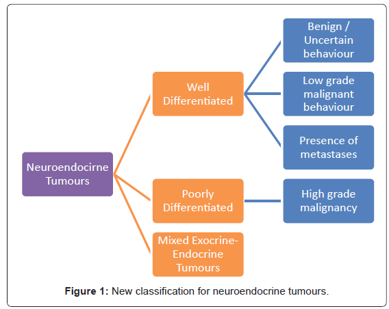 gastrointestinal-digestive-neuroendocrine-tumours