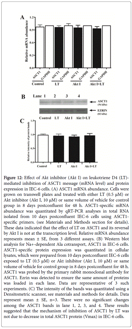 gastrointestinal-digestive-qRT-PCR-analyses