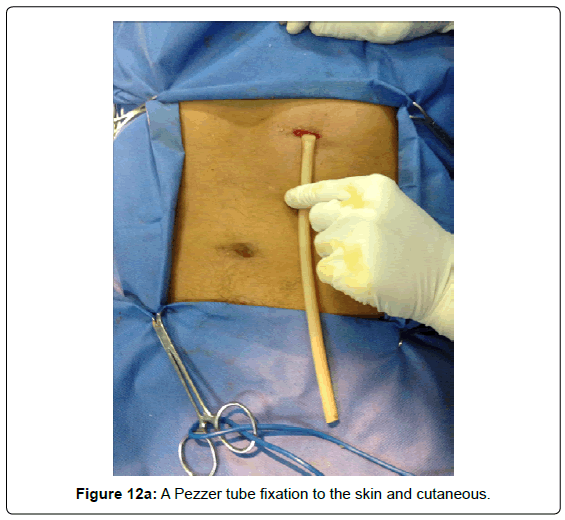 gastrointestinal-digestive-skin-cutaneous