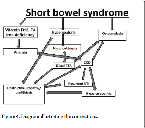 gastrointestinal-digestive-system-Diagram-illustrating