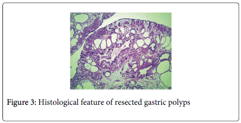 gastrointestinal-digestive-system-Histological-feature