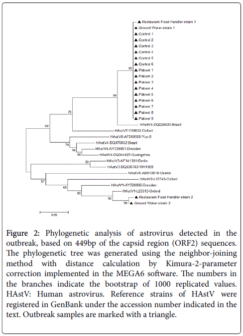 gastrointestinal-digestive-system-Phylogenetic-analysis