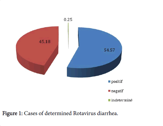 gastrointestinal-digestive-system-Rotavirus-diarrhea