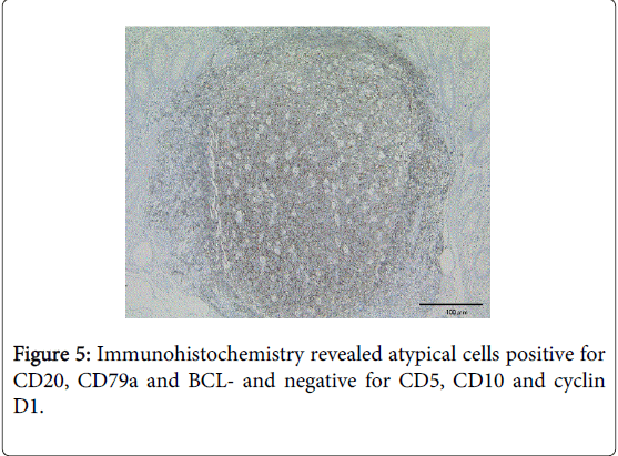 gastrointestinal-digestive-system-cells-positive