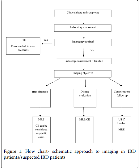 gastrointestinal-digestive-system-chart-schematic