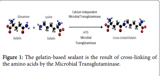 gastrointestinal-digestive-system-gelatin-based
