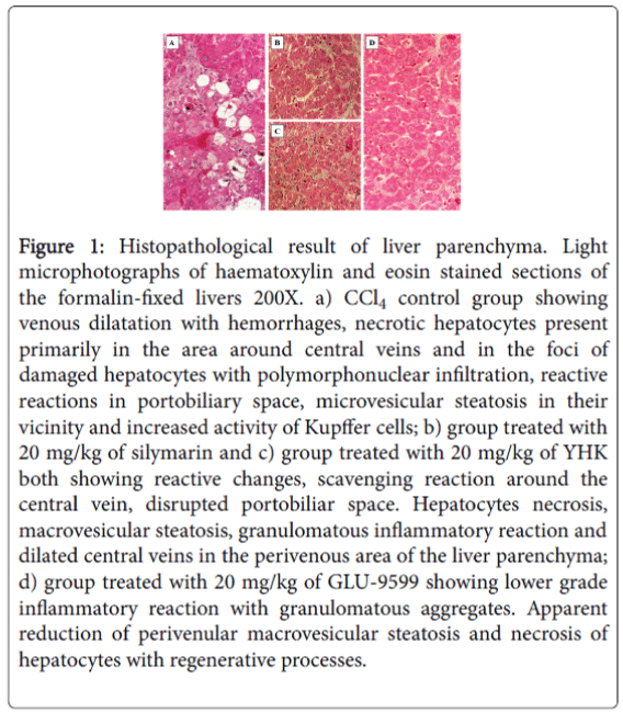 gastrointestinal-digestive-system-haematoxylin-eosin-stained