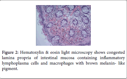 gastrointestinal-digestive-system-light-microscopy