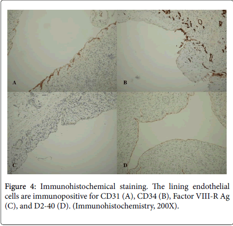 gastrointestinal-digestive-system-lining-endothelial