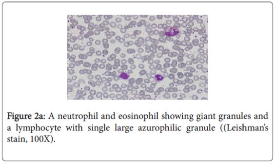 gastrointestinal-digestive-system-neutrophil-eosinophil-granules