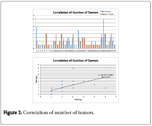 gastrointestinal-digestive-system-number-of-tumors