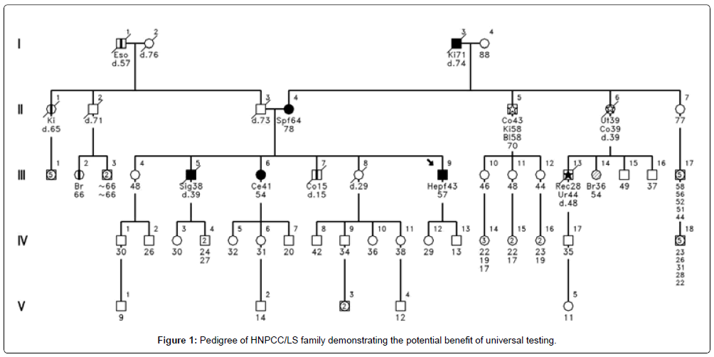 gastrointestinal-digestive-system-potential-benefit